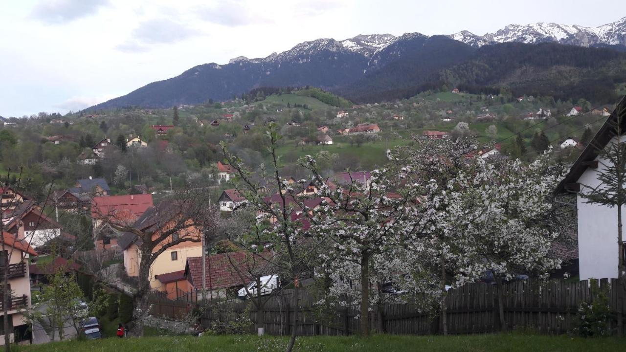 Vila Sarah Bran Bran  Bagian luar foto
