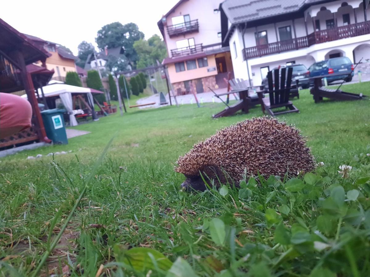 Vila Sarah Bran Bran  Bagian luar foto