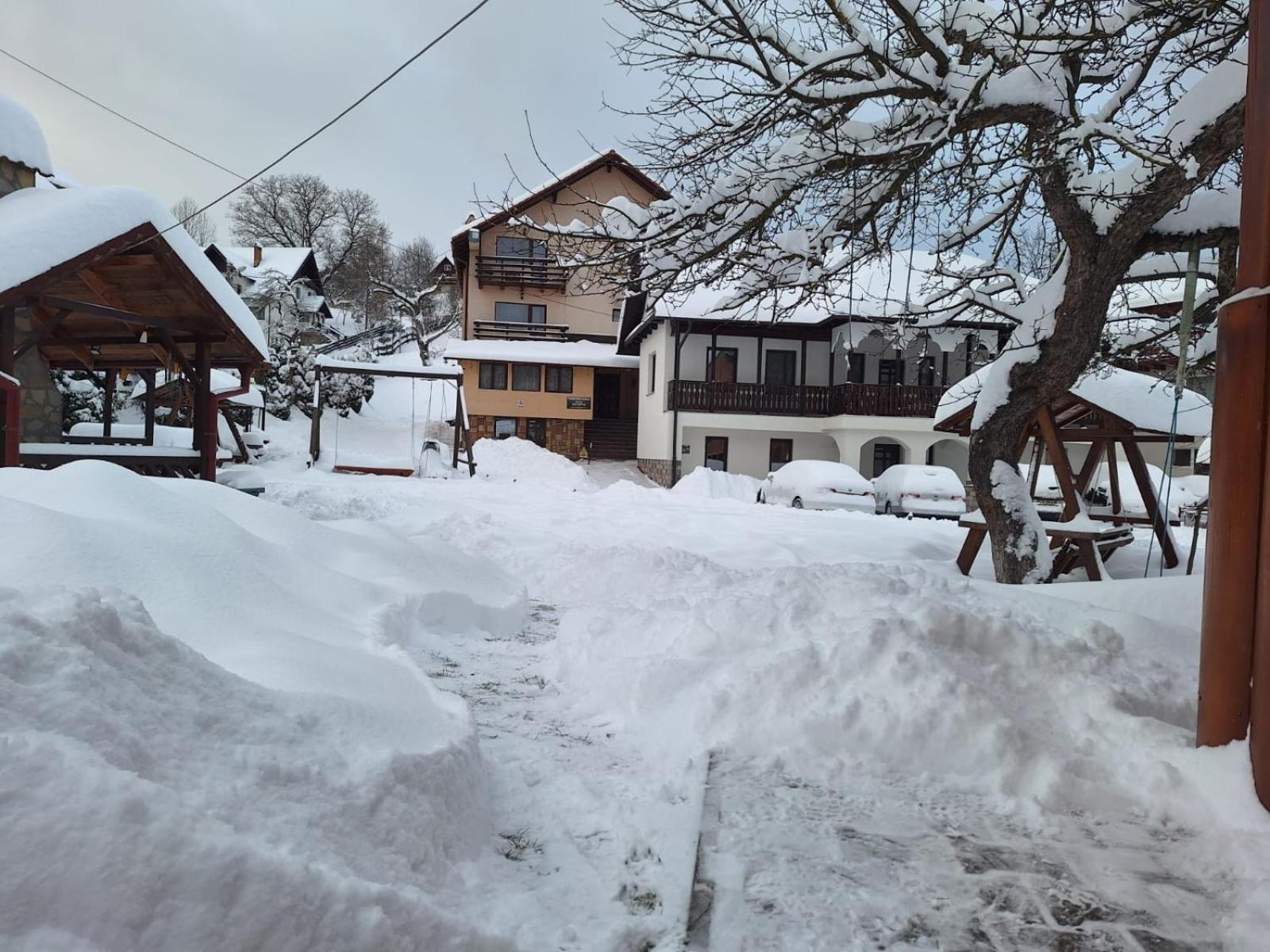 Vila Sarah Bran Bran  Bagian luar foto