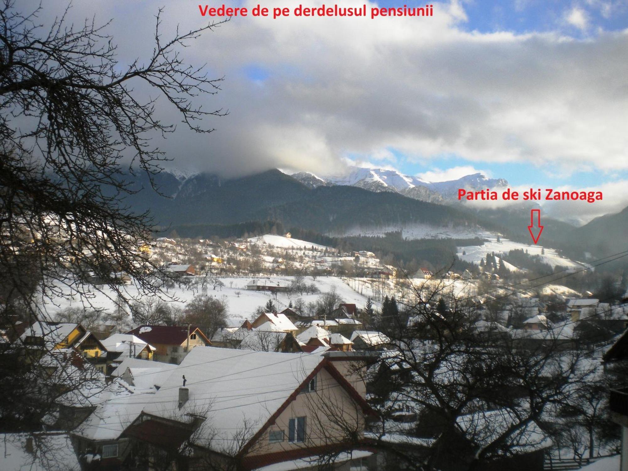 Vila Sarah Bran Bran  Bagian luar foto