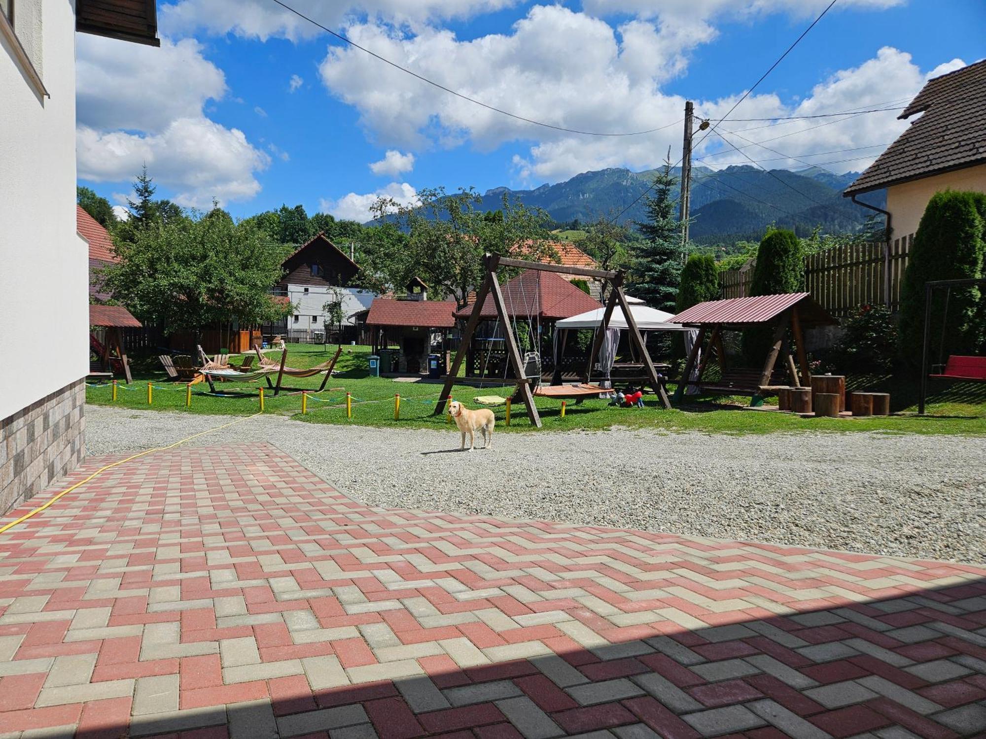 Vila Sarah Bran Bran  Bagian luar foto