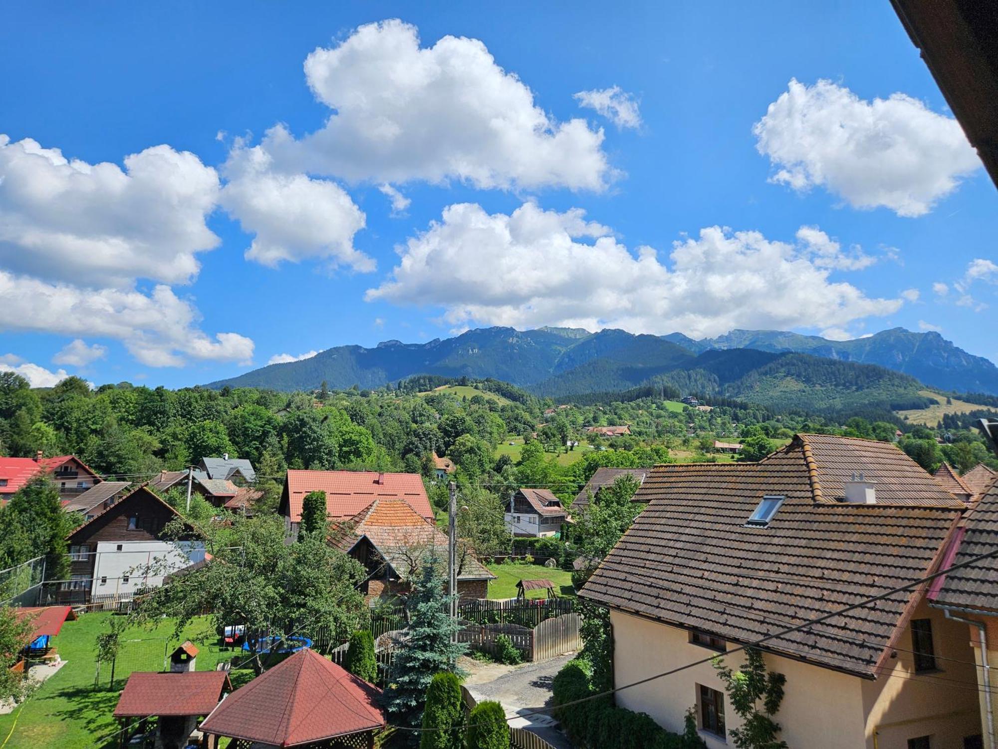 Vila Sarah Bran Bran  Bagian luar foto